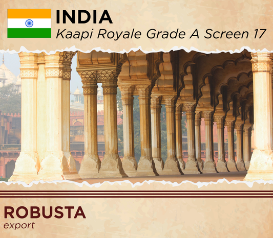 Robusta India