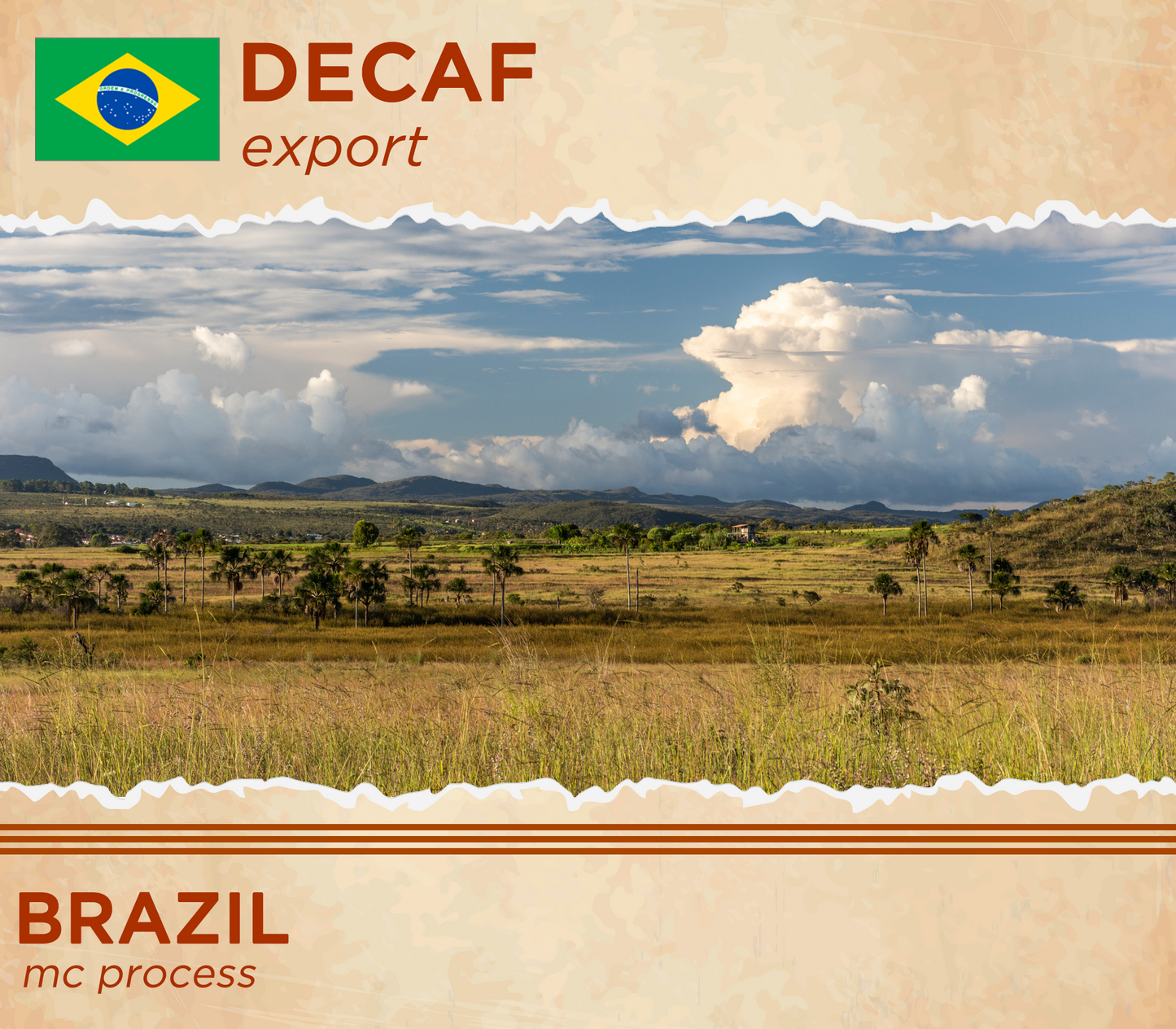 Decaf - MC Brazil