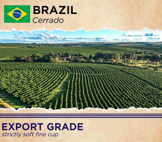 Brazil Cerrado