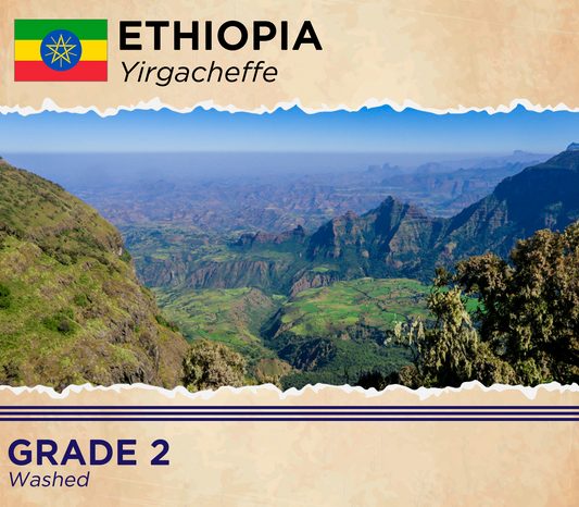 Ethiopia Yirgacheffe Washed