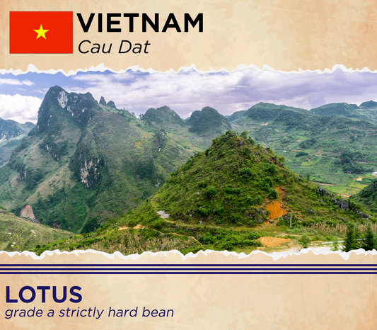 Vietnam Lotus