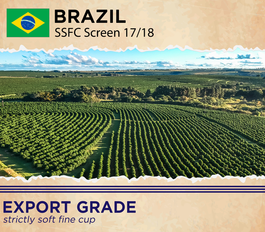 Brazil SSFC Screen 17/18