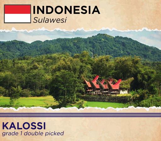 Indonesia Sulawesi Kalossi Grade 1