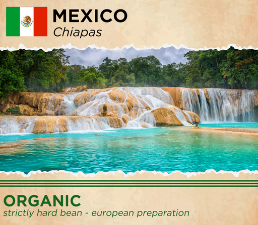 Mexico Organic Chiapas